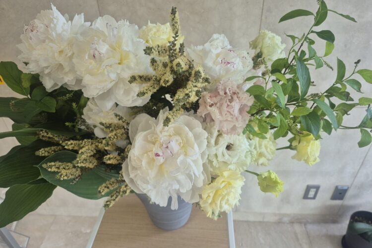 今週のお花