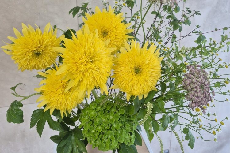今週のお花
