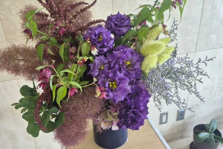 今週のお花